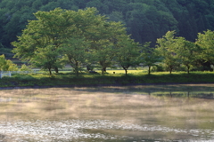 朝靄の水面