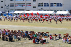 大運動会