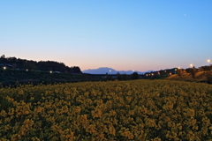 夜明け-2