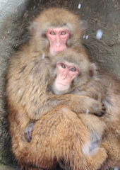 母と子