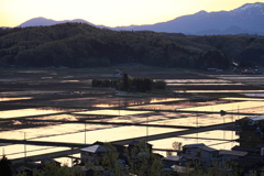 田植え前
