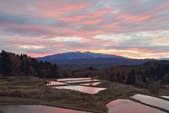 棚田の夜明け