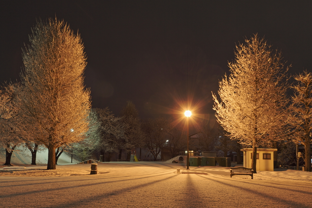 雪景-1