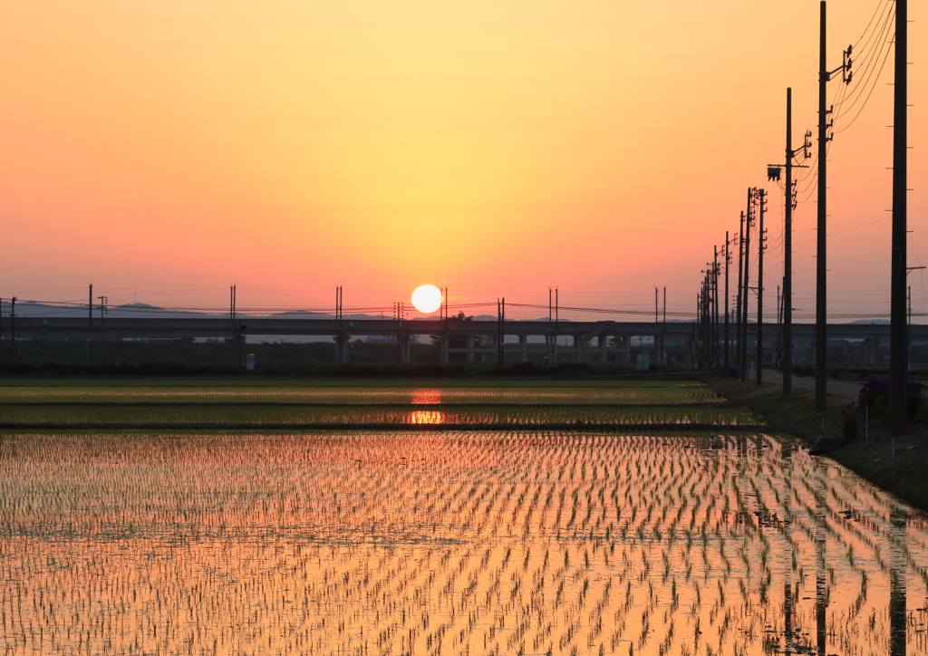 夕景