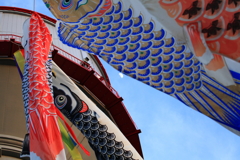 長岡市水道公園-1