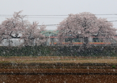 なごり雪の無人駅