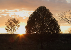 夕景