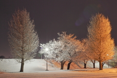 雪景-2