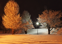 雪景-4