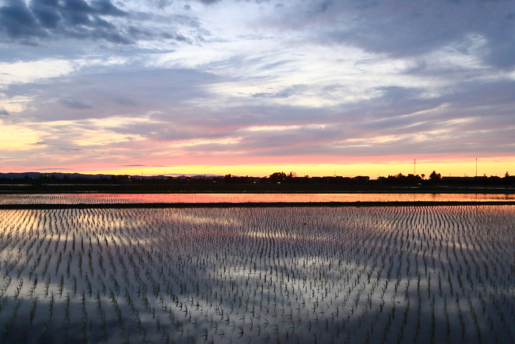 水鏡の夕焼け-2