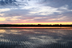 水鏡の夕焼け-2