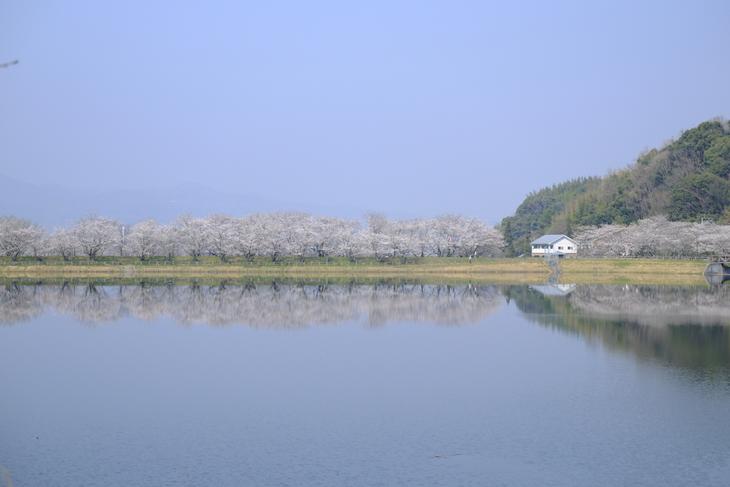 お写んぽｉｎ立岡公園　その1