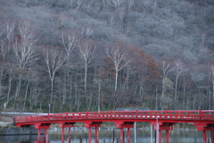 ダケカンバと赤い橋