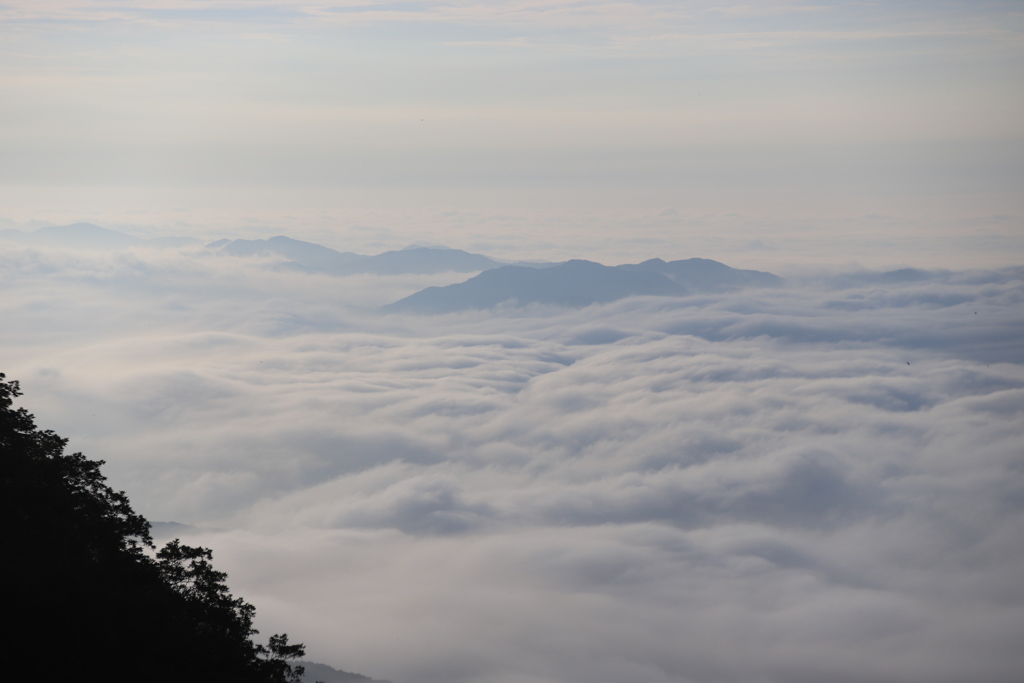 観れたのは、運かい？