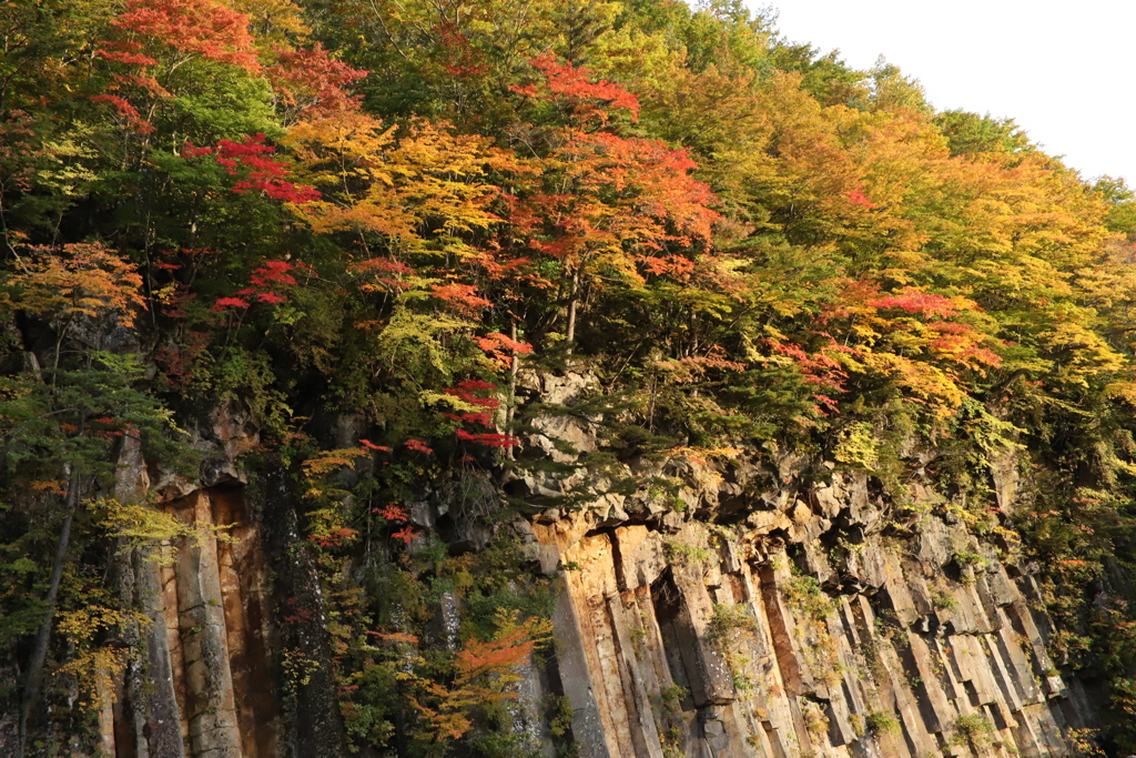 東北の紅葉4