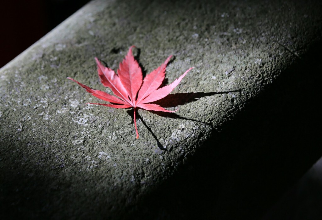 最後の輝き