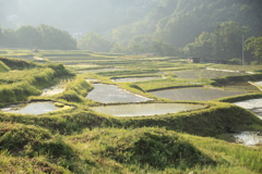 棚田の朝