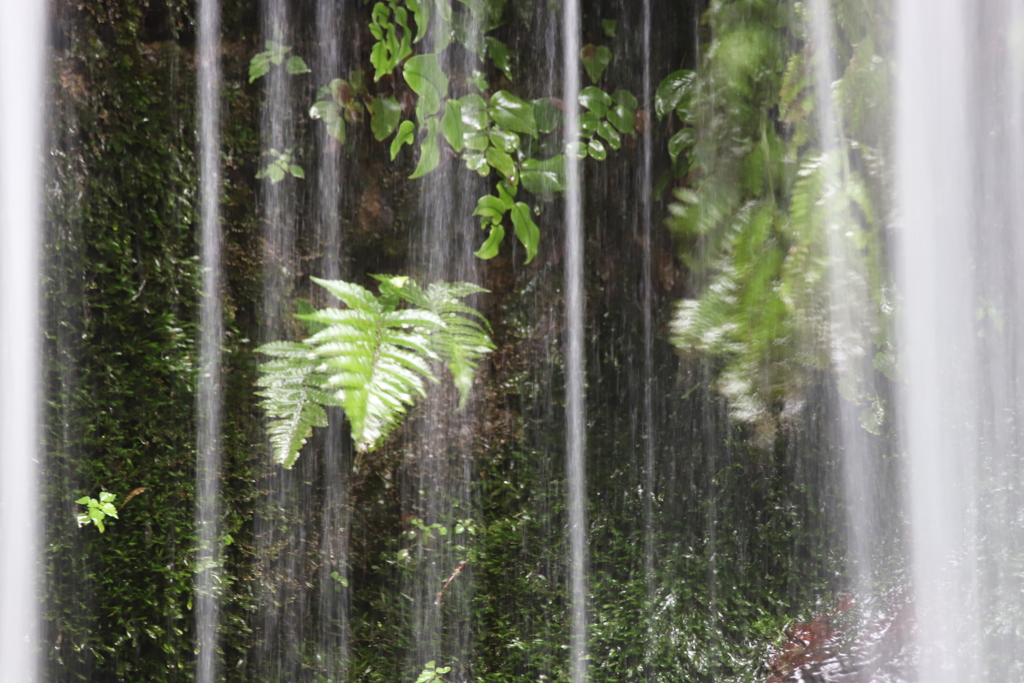 滝の裏