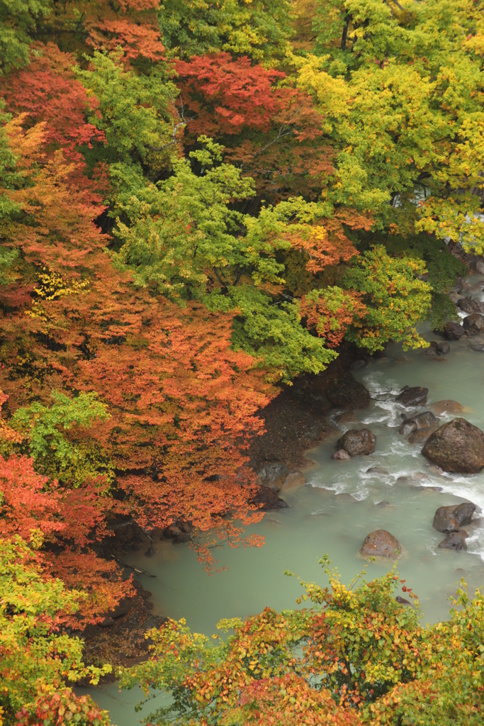 東北の紅葉