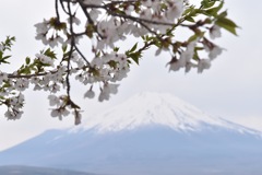 富士山~山中湖からの景色~