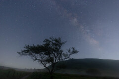 霧ノ夜