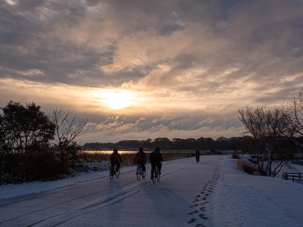 Snow Morning