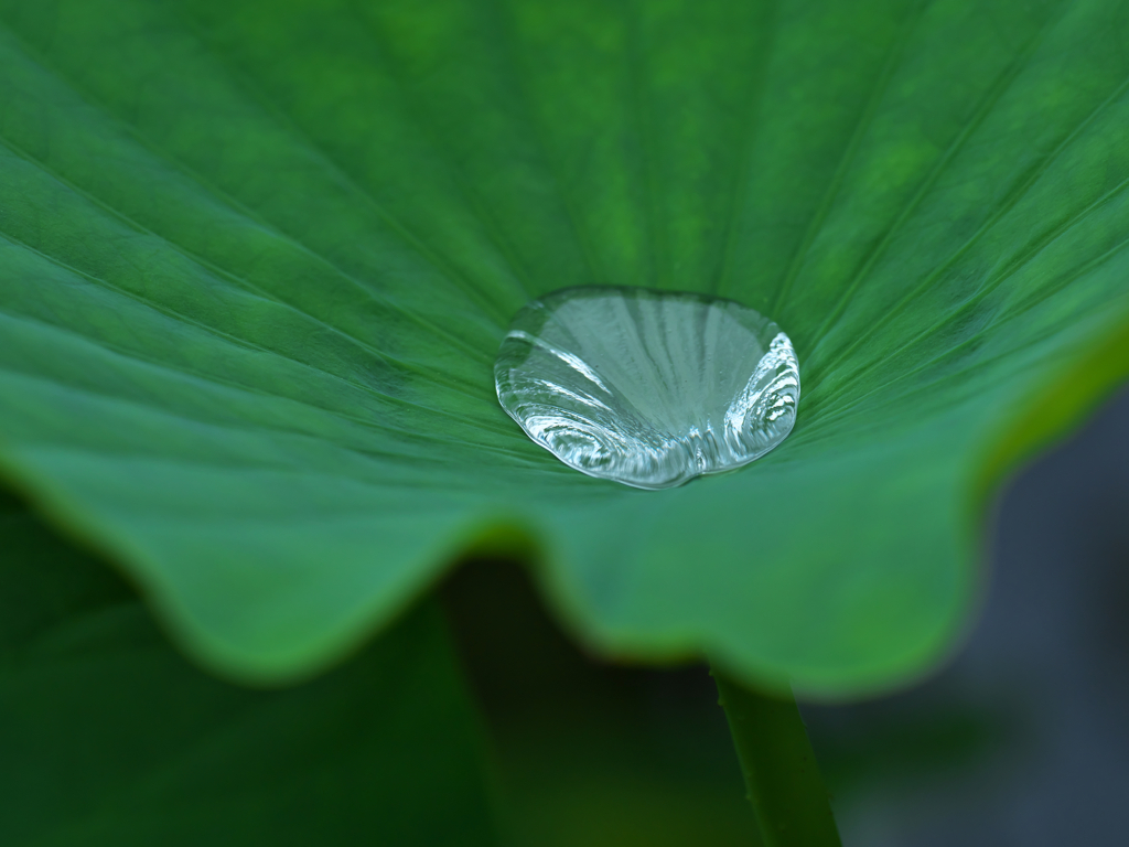 水滴