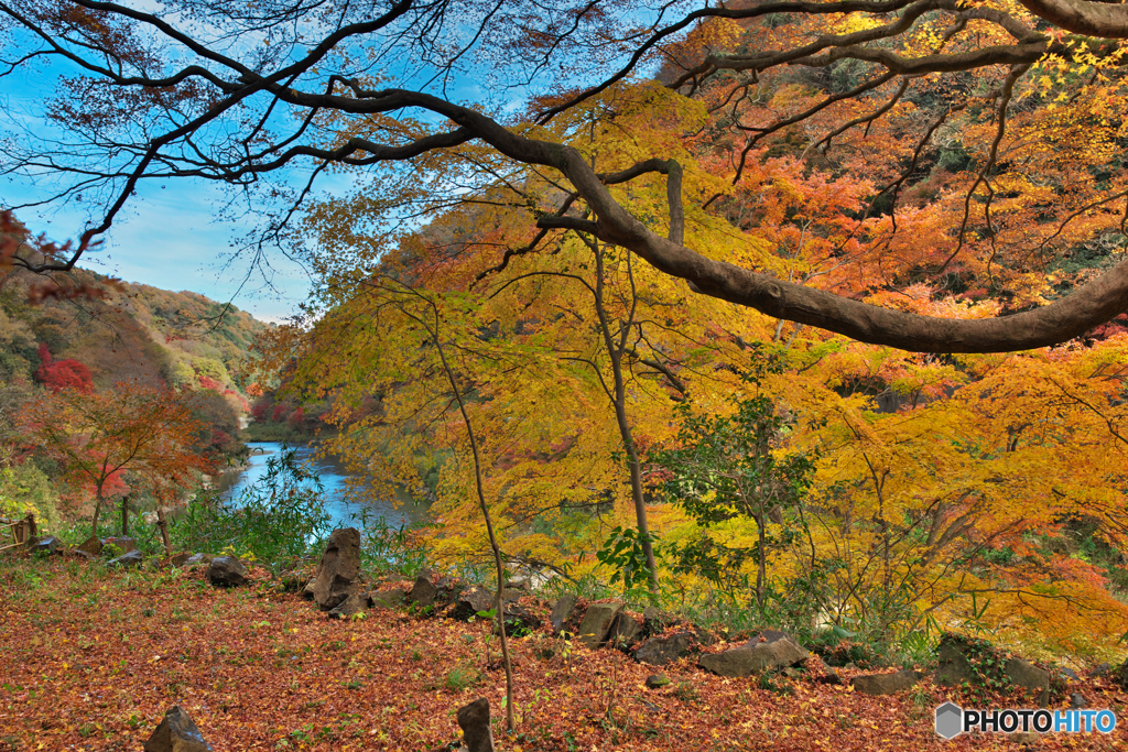 愛岐トンネル11