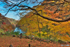 愛岐トンネル11