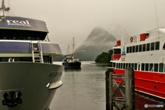 ミルフォードサウンド１