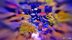 竹島水族館にて