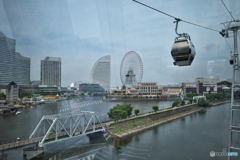 YOKOHAMA9