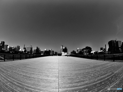 FishEye２