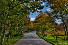 色づく高原 色づく高原
