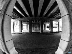 FishEye１