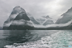 ミルフォードサウンド４