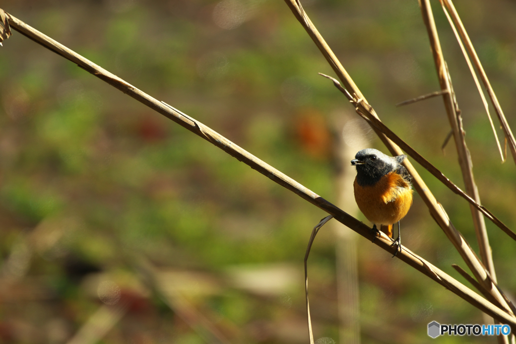 寒いのはこっち