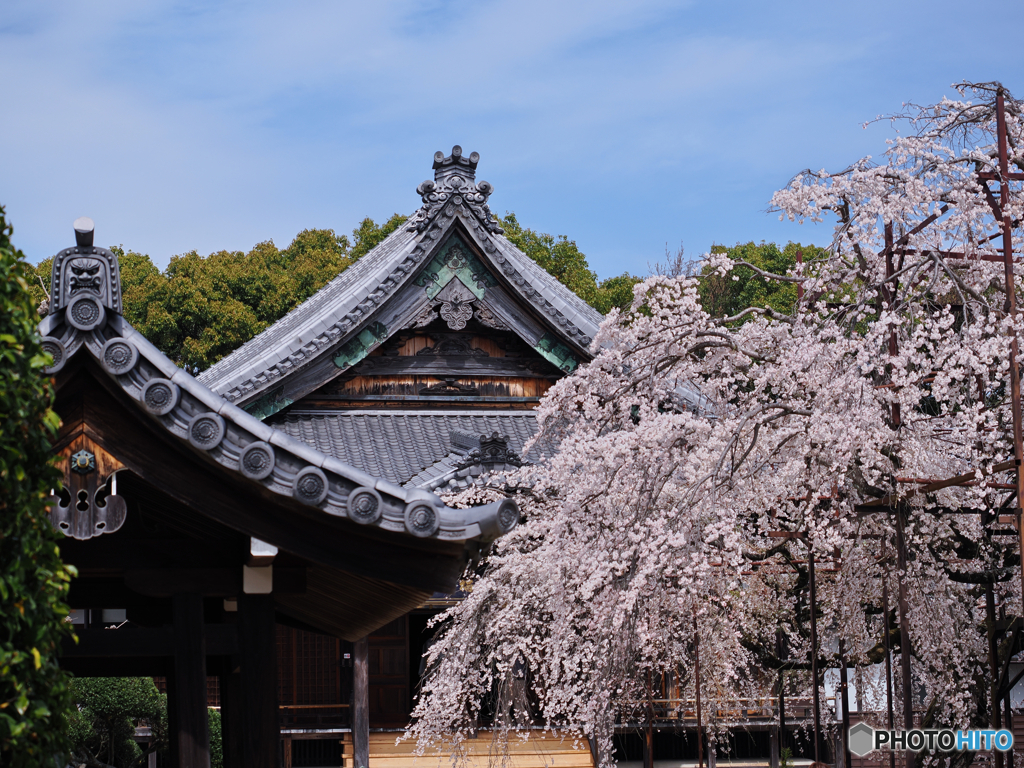 花曇り