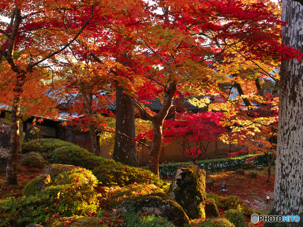 永源寺３