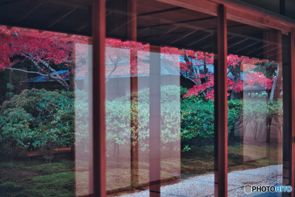 映