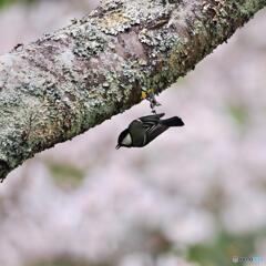 それぞれの日常２