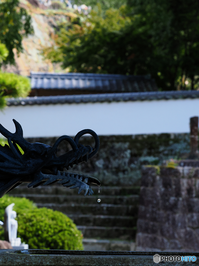 龍口一滴
