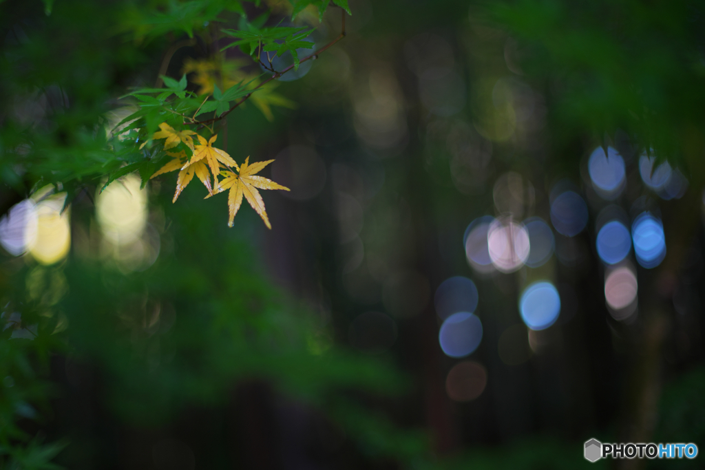 潤３