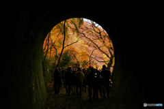 愛岐トンネル８