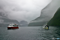 ミルフォードサウンド２