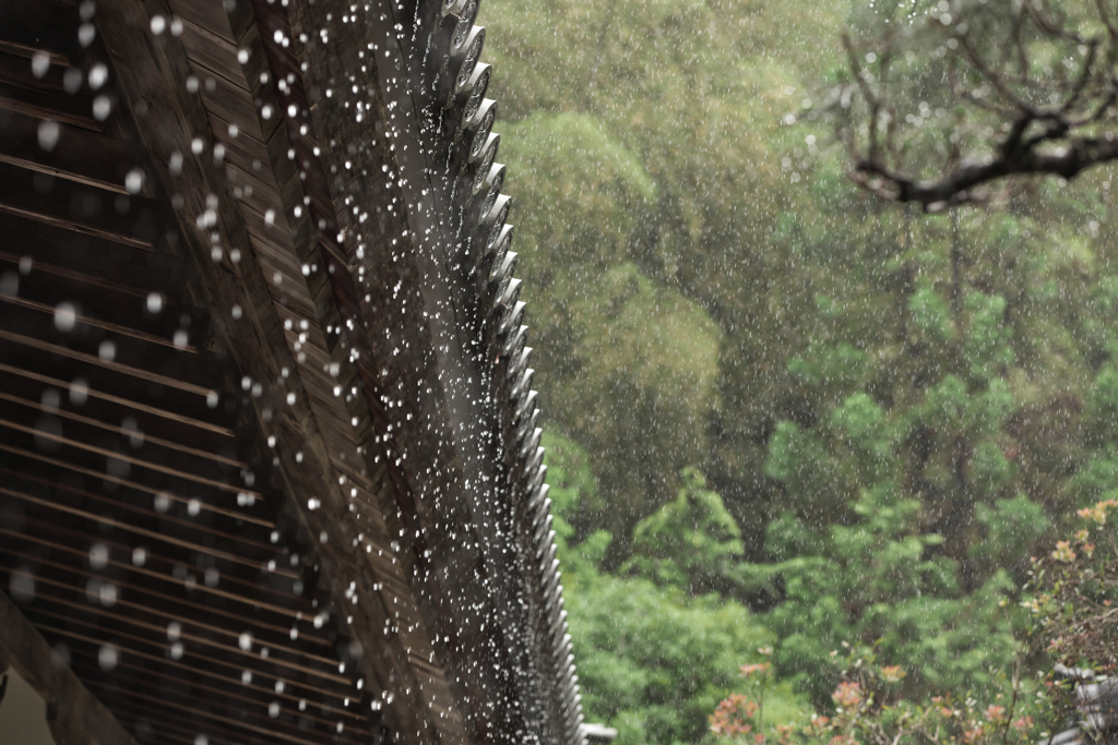 梅雨入り２