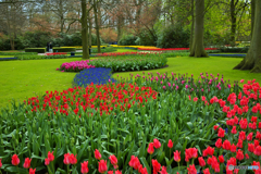 キュウケンホフ公園５