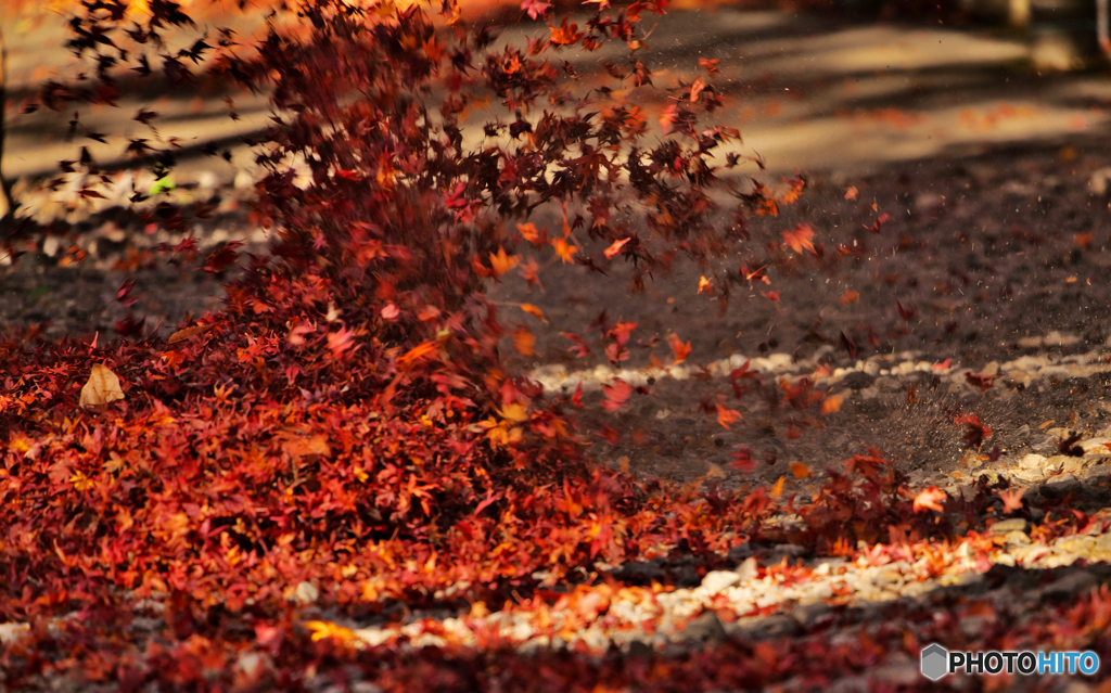 紅のフィナーレ２