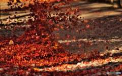 紅のフィナーレ２