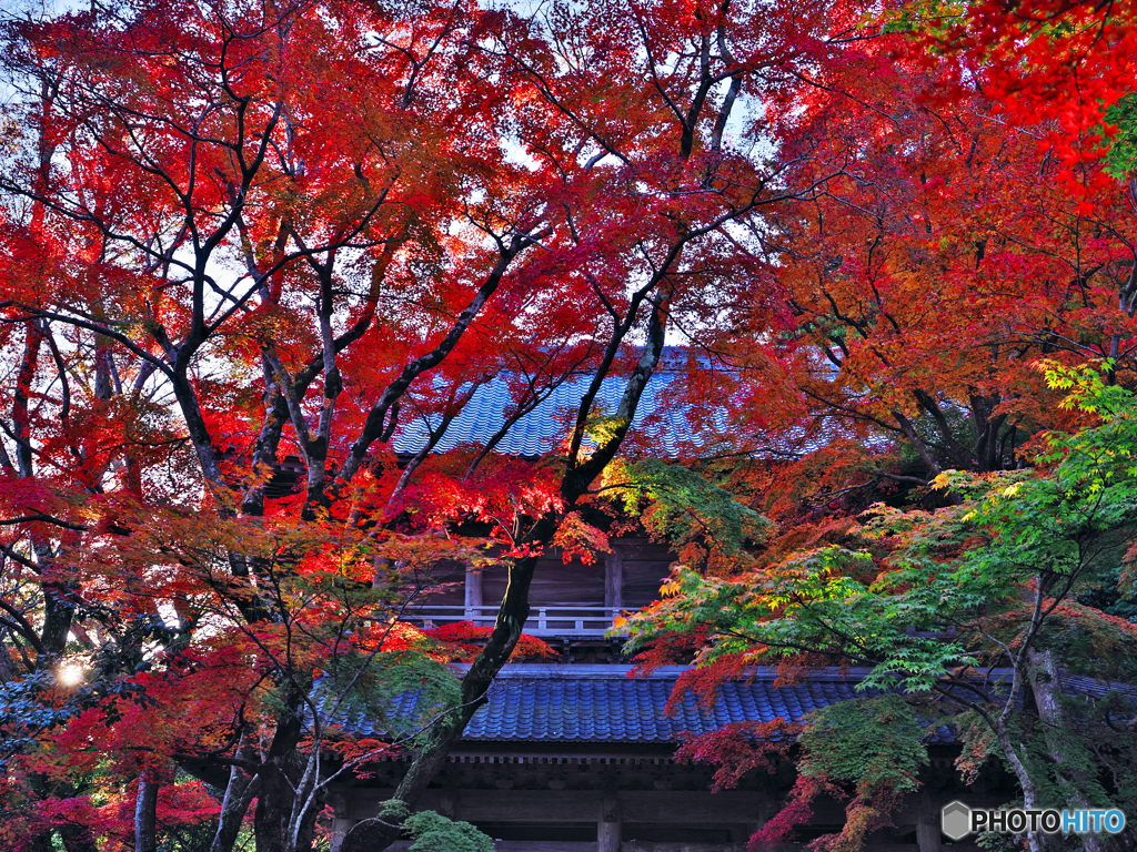 永源寺１